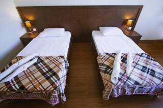 Отель Hotel Lux Тбилиси Просторный двухместный номер с 2 отдельными кроватями-3